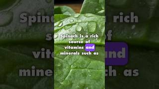 SPINACH Holds The Secret To AMAZING Health [upl. by Eidnalem]