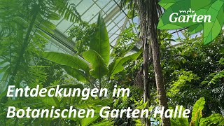 Botanischer Garten Düsseldorf [upl. by Rednirah506]