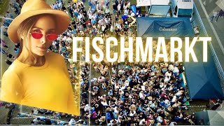 Düsseldorf FischmarktRhine River Summer Music 🍓 2024 [upl. by Petite475]