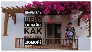 Шарм эль Шейх онлайн Как вернуться домой [upl. by Tansy]