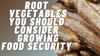 Root Vegetables You Should Consider Growing  Food Security [upl. by Byrne187]