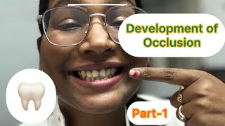 Development of occlusion  Part1 [upl. by Jarrell]