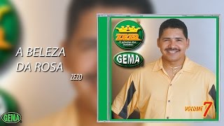 Zezo  O Príncipe dos Teclados Vol7  A Beleza Da Rosa Áudio Oficial [upl. by Isaac873]