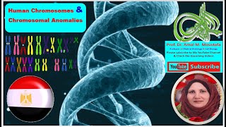 Genetics Basics Human chromosomes DNA Gene Allele Role of inheritance amp Chromosomal anomalies [upl. by Inimak]