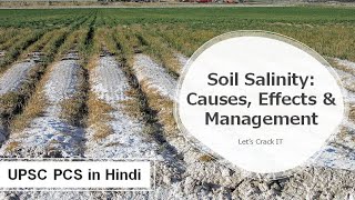 What is Soil Salinization Causes Impact Management Prevention of Saline soil  UPSC PCS in Hindi [upl. by Ajani]