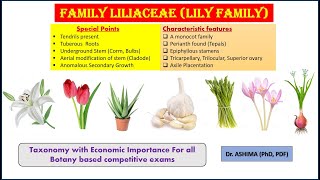 Family Liliaceae a lily family [upl. by Kcirdde998]