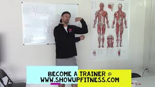 Flashcards Vocab for NASM CPT Show Up Fitness [upl. by Initsed507]