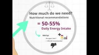 Macronutrients  Carbohydrates [upl. by Warms]