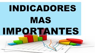 Cuáles son los Indicadores Financieros Mas Importantes [upl. by Noiramaj832]