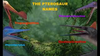 The Pterosaur Names My Post [upl. by Lorilee162]