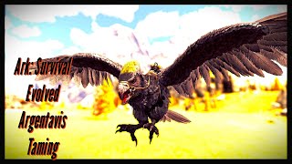 Complete Argentavis Taming Guide  Fly High in Ark Survival Evolved [upl. by Enyedy399]