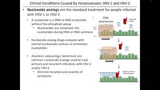 Virology Chapter 13 Part 1 [upl. by Erfert]