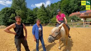 Besuch beim Reiterhof amp Pension Märchenmühle bei Berg [upl. by Ydolem244]