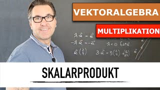 Wie multipliziere ich einen Vektor mit einen Skalar Skalarmultiplikation Vektor  Skalarprodukt [upl. by Birgitta901]