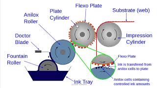 Flexography  Basic Introduction [upl. by Devonne]