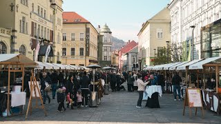 Dobrodošlo vino Celje 2024 [upl. by Hanikas]