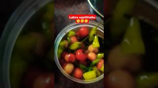 ലുബിക്ക ഉപ്പിലിട്ടത് 😋Lubica uppilittathuscramberry🍒 [upl. by Annerb81]