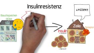 Metabolisches Syndrom  Insulinresistenz  Das tödliche Quartett  Syndrom X [upl. by Vogeley596]