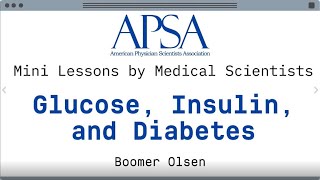 Mini Lessons by Medical Scientists quotGlucose Insulin and Diabetesquot [upl. by Garrison]