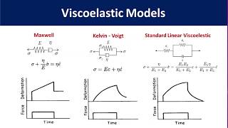 Polymer Viscoelasticity [upl. by Aurelie274]