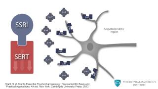 Mechanism of SSRIs Monoamine Theory and the Role of BDNF [upl. by Rossner]