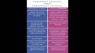 exogenous antigen endogenous Antigen [upl. by Leahcym]