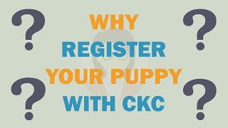 Why Register Your Puppy with Continental Kennel Club [upl. by Esidnak]