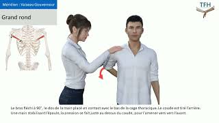 Test Muscle Grand rond  Kinésiologie  Touch for Health  TFH [upl. by Ronda479]