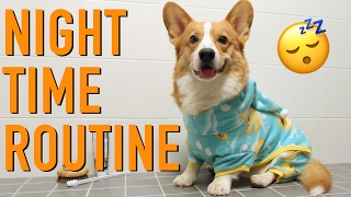 PYJAMA TIME  Topi the Corgi [upl. by Ikkaj802]