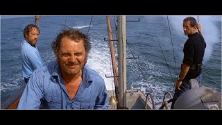 Breaking News 500  JAWS 1975  Get Out of the Water [upl. by Melba]