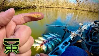 BEST CREEK CRAPPIE Fishing Video ON YouTube‼️ so far in 2024😜 [upl. by Stoat]