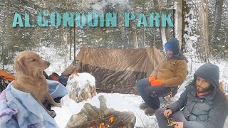 25 degrees Winter Camping w Maple the Dog [upl. by Kain31]