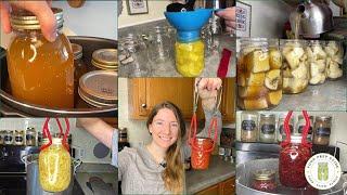 7 Canning Recipes That Save Us the MOST Money [upl. by Ylebmik]