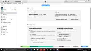 Comment faire une sauvegarde de son iPhone depuis son PC avec iTunes [upl. by Helm]