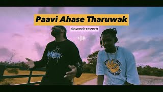 Paavi Ahase Tharuwak  පාවී අහසෙ තරුවක් slowedreverb Costa x Tikx Kooda [upl. by Eivod]