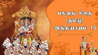 பகவத் கீதை  பகுதி 15  Bhagavad Gita in Tamil Chapter 15  Srimad Bhagavad Geethai [upl. by Jack]