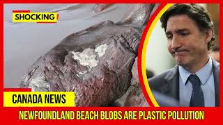 SHOCKING Newfoundland beach blobs are plastic pollution Latest Canada News At CTV News [upl. by Goldarina70]