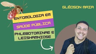 Entomologia em Saúde Pública  Phlebotominae e Leishmaniose [upl. by Ricardama]