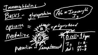 Immunoglobulins Made Simple Function Structure and Types [upl. by Shamrao]