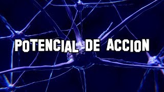 Potencial de acción de las neuronas [upl. by Dragon920]