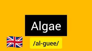 How to pronounce algae  British and American English  Pronunciation for speak fluently [upl. by Okihcas]