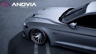 Bagged Ford Mustang GT  Anovia Elders 19x117 [upl. by Corina]