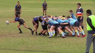 U12 MERRYLANDS WOLVES V WAKEHURST [upl. by Mulry]