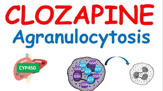 Clozapine and agranulocytosis [upl. by Nedarb718]