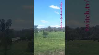 VLINE Albury NSW To Southern Cross 101024 vline shorts shortvideo train travel views [upl. by Jadd]