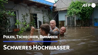 Schwere Überschwemmungen in Polen und Tschechien  AFP [upl. by Richey256]