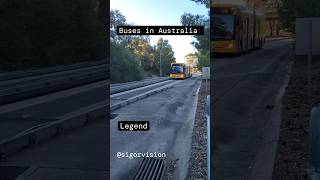 Buses in Australia legendary location of Adelaide Bus OBahn [upl. by Indnahc]