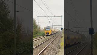 Gele neus virm 🔥 treinleven treinspotter train nederlandsespoorwegen dutchtrains railway fyp [upl. by Ahsekahs]