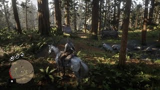 Red Dead Redemption 2  All 2 Gang Camps of The Skinner Brothers [upl. by Kurman111]