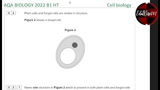 AQA GCSE Biology 2022  Paper 1 Q2 Higher Tier Past paper Questions walk through on Cell Biology [upl. by Marlee]